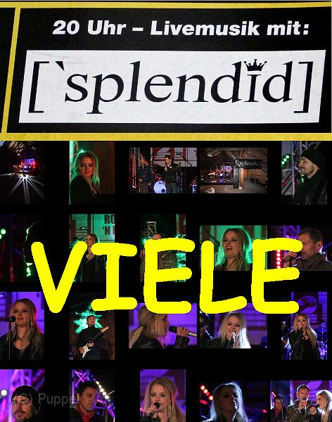 A SPLENDID VIELE.jpg